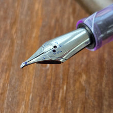 Load image into Gallery viewer, March Specialty Nibs
