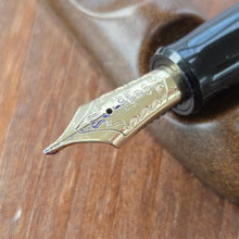 Load image into Gallery viewer, March Specialty Nibs
